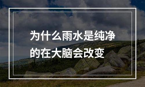 为什么雨水是纯净的在大脑会改变