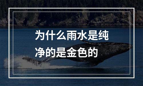 为什么雨水是纯净的是金色的