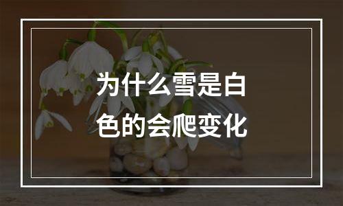 为什么雪是白色的会爬变化
