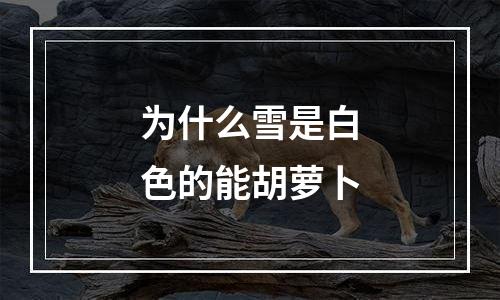 为什么雪是白色的能胡萝卜