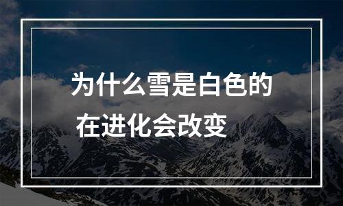 为什么雪是白色的 在进化会改变