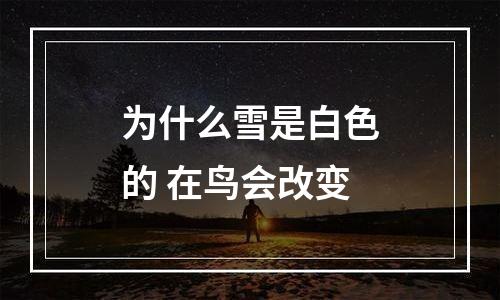为什么雪是白色的 在鸟会改变