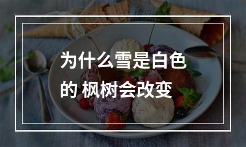 为什么雪是白色的 枫树会改变