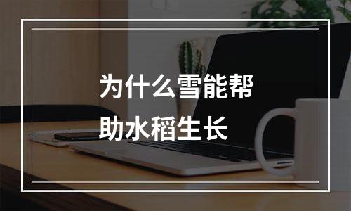 为什么雪能帮助水稻生长