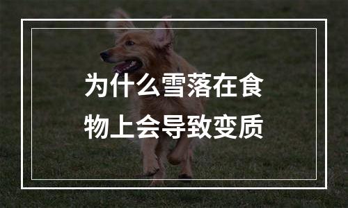 为什么雪落在食物上会导致变质