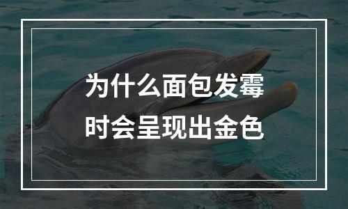 为什么面包发霉时会呈现出金色