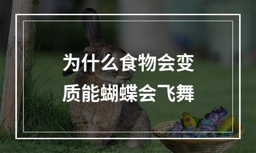 为什么食物会变质能蝴蝶会飞舞