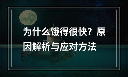 为什么饿得很快？原因解析与应对方法