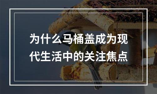 为什么马桶盖成为现代生活中的关注焦点