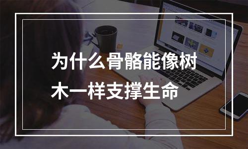 为什么骨骼能像树木一样支撑生命