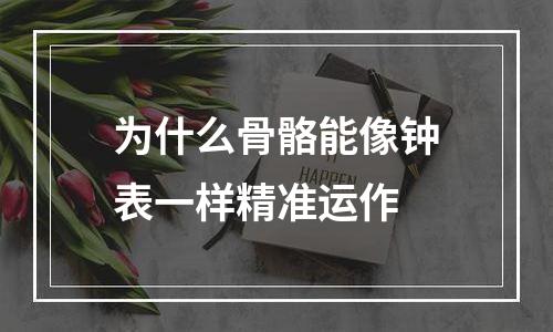 为什么骨骼能像钟表一样精准运作