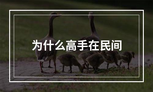为什么高手在民间