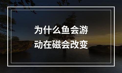 为什么鱼会游动在磁会改变