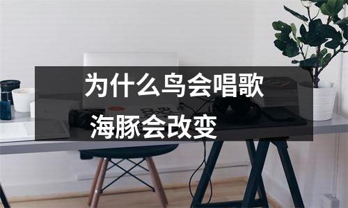 为什么鸟会唱歌 海豚会改变
