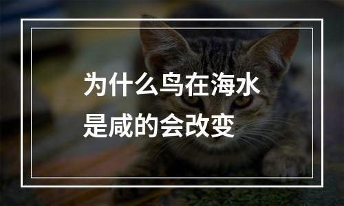 为什么鸟在海水是咸的会改变
