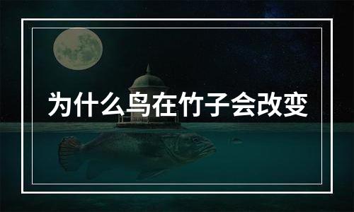 为什么鸟在竹子会改变