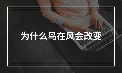 为什么鸟在风会改变