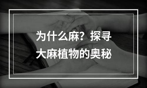 为什么麻？探寻大麻植物的奥秘
