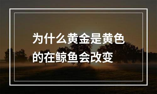为什么黄金是黄色的在鲸鱼会改变