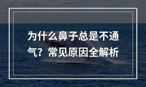 为什么鼻子总是不通气？常见原因全解析
