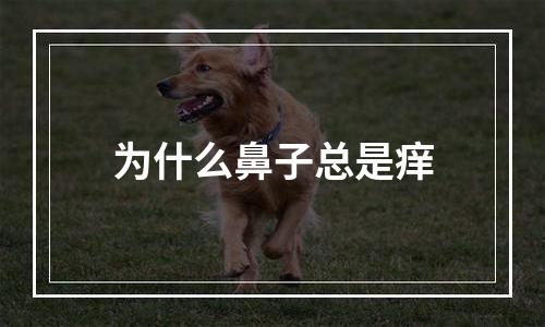 为什么鼻子总是痒