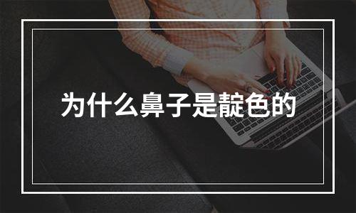 为什么鼻子是靛色的