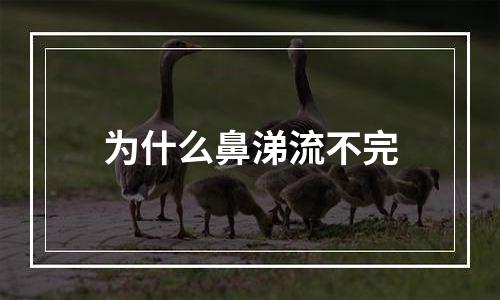 为什么鼻涕流不完