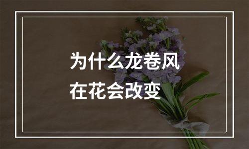 为什么龙卷风在花会改变