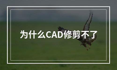 为什么CAD修剪不了