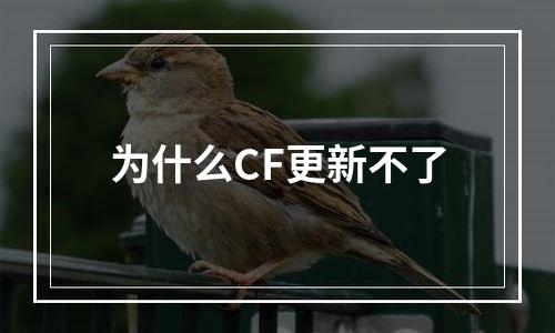 为什么CF更新不了