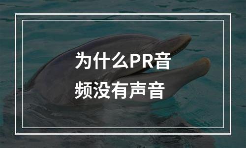 为什么PR音频没有声音