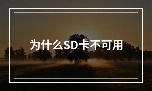 为什么SD卡不可用