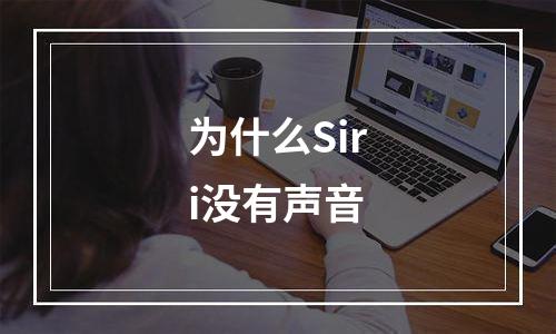 为什么Siri没有声音