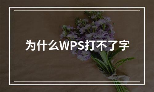为什么WPS打不了字