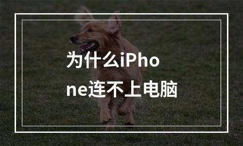为什么iPhone连不上电脑