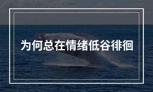 为何总在情绪低谷徘徊