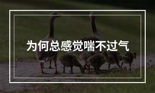 为何总感觉喘不过气