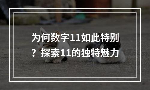 为何数字11如此特别？探索11的独特魅力