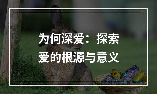 为何深爱：探索爱的根源与意义