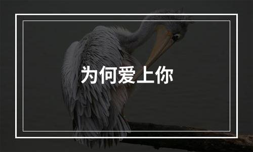 为何爱上你
