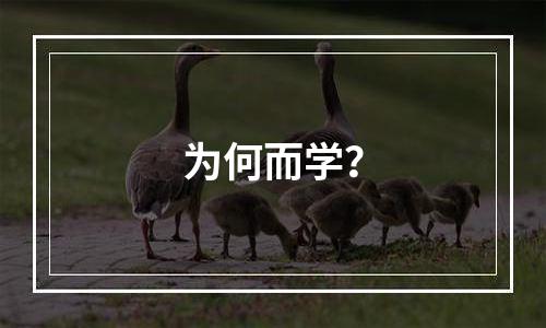 为何而学？
