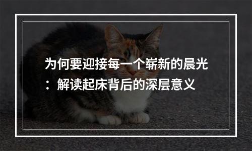 为何要迎接每一个崭新的晨光：解读起床背后的深层意义