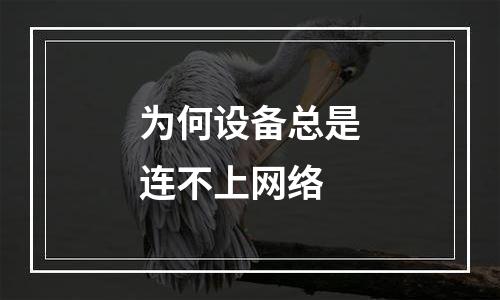 为何设备总是连不上网络