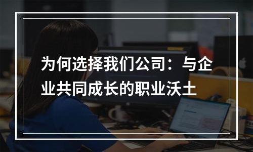 为何选择我们公司：与企业共同成长的职业沃土