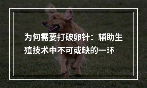 为何需要打破卵针：辅助生殖技术中不可或缺的一环