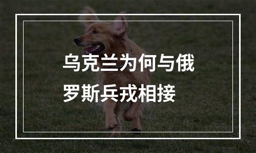 乌克兰为何与俄罗斯兵戎相接