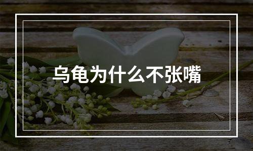 乌龟为什么不张嘴