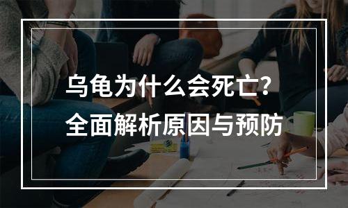 乌龟为什么会死亡？全面解析原因与预防
