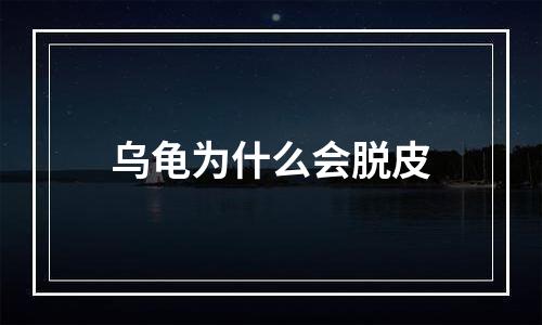 乌龟为什么会脱皮