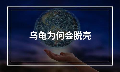 乌龟为何会脱壳